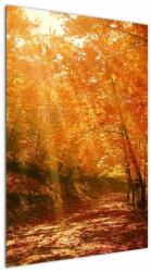 Mivali Tablou cu pădurea în toamnă, dintr-o bucată 60x90 cm (V021203V6090)