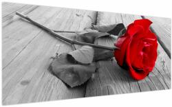 Mivali Tablou cu trandafiri roșii, dintr-o bucată 200x100 cm (V022288V200100)