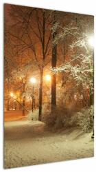 Mivali Tablou - Parcul înzăpezit, dintr-o bucată 60x90 cm (V023261V6090)