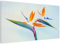 Mivali Tablou cu floarea Strelicie, dintr-o bucată 120x70 cm (V021628V12070)