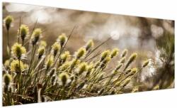 Mivali Tablou - Verde, dintr-o bucată 250x125 cm (V023884V250125)