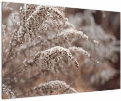 Mivali Tablou cu plante, dintr-o bucată 90x60 cm (V022276V9060)