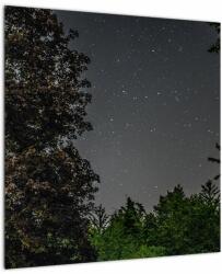 Mivali Tablou cu cerul nocturn, dintr-o bucată 50x50 cm (V020998V5050)