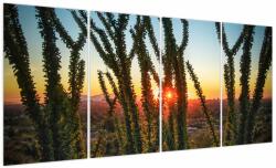 Mivali Tablou - Plante, din patru bucăți 160x80 cm (V023847V16080)