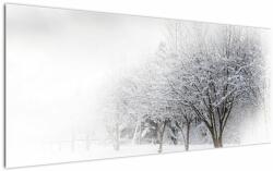 Mivali Tablou - Aleea de iarnă, dintr-o bucată 120x50 cm (V023265V12050)