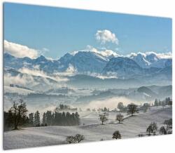 Mivali Tablou cu munții înzăpeziți, dintr-o bucată 100x70 cm (V021178V10070)