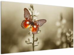 Mivali Tablou cu fluture, dintr-o bucată 120x70 cm (V022227V12070)