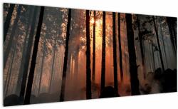 Mivali Tablou cu pădure întunecată, dintr-o bucată 100x40 cm (V020379V10040)
