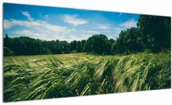 Mivali Tablou cu linca și pădure, dintr-o bucată 100x40 cm (V021343V10040)