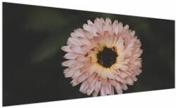 Mivali Tablou cu floare portocalie, dintr-o bucată 250x125 cm (V020428V250125)