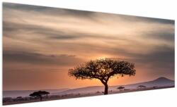 Mivali Tablou apusului de soare în Tanzania, dintr-o bucată 250x125 cm (V021578V250125)