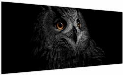 Mivali Tablou - Bufniță, ilustrație, dintr-o bucată 100x40 cm (V023618V10040)