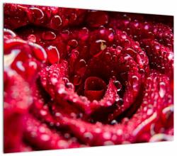 Mivali Tablou pe sticlă cu floarea trandafirului roșu, dintr-o bucată 70x50 cm pe sticlă (V020009V7050GD)