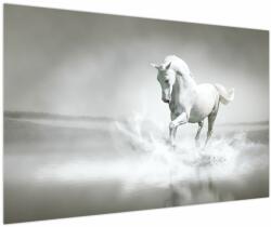 Mivali Tablou - Cal alb, dintr-o bucată 120x80 cm (V023744V12080)