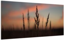 Mivali Tablou pe sticlă - Silueta plantei, dintr-o bucată 100x50 cm pe sticlă (V022647V10050GD)
