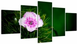 Mivali Tablou cu floare roz, din cinci bucăți 150x80 cm (V020990V150805PCS)