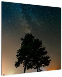 Mivali Tablou cu cerul nocturn și copaci, dintr-o bucată 70x70 cm (V020879V7070)