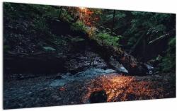 Mivali Tablou pe sticlă cu râu montan, dintr-o bucată 100x50 cm pe sticlă (V020254V10050GD)