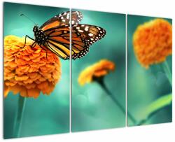 Mivali Tablou cu fluture, din trei bucăți 120x80 cm (V022134V120803PCS)