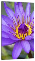 Mivali Tablou - Floare violet, dintr-o bucată 20x30 cm (V022431V2030)