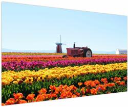 Mivali Tablou cu farma de lalele, dintr-o bucată 150x100 cm (V021542V150100)