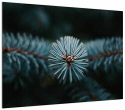 Mivali Tablou -Crenguțe ale unui conifer, dintr-o bucată 70x50 cm (V022700V7050)