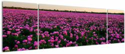 Mivali Tablou - Pajiștea cu lalele violet, din trei bucăți 170x50 cm (V023003V17050)