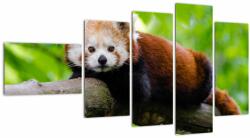 Mivali Tablou cu panda roșie, din cinci bucăți 110x60 cm (V020455V11060)