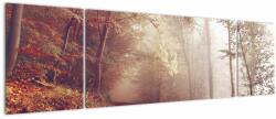 Mivali Tablou - Plimbarea de toamnă prin pădure, din trei bucăți 170x50 cm (V021653V17050)