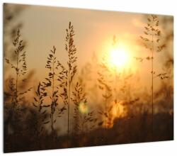 Mivali Tablou pe sticlă cu răsărit de soare, dintr-o bucată 70x50 cm pe sticlă (V020870V7050GD)