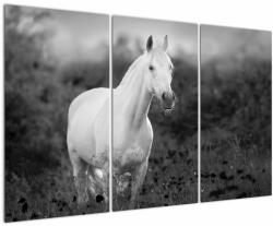 Mivali Tablou - Cal alb în poină, din trei bucăți 120x80 cm (V023068V120803PCS)