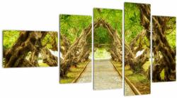 Mivali Tablou - Tunel viu din plumeria, din cinci bucăți 110x60 cm (V023164V11060)