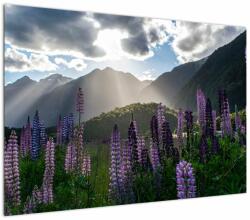 Mivali Tablou - scenariu cu flori de Lupin, dintr-o bucată 100x70 cm (V021566V10070)