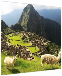 Mivali Tablou - Lame in Machu Picchu, dintr-o bucată 70x70 cm (V023803V7070)