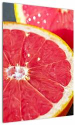 Mivali Tablou cu grapefruit tăiat, dintr-o bucată 50x70 cm (V021227V5070)