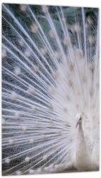 Mivali Tablou - Păun alb, dintr-o bucată 20x30 cm (V023791V2030)