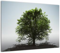 Mivali Tablou - Copacul singuratic, dintr-o bucată 70x50 cm (V022525V7050)
