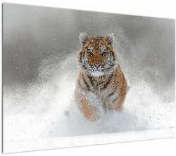 Mivali Tablou cutigru fugind prin zăpadă, dintr-o bucată 100x70 cm (V020719V10070)