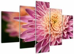 Mivali Tablou detailat cu flori, din cinci bucăți 150x105 cm (V020238V150105)