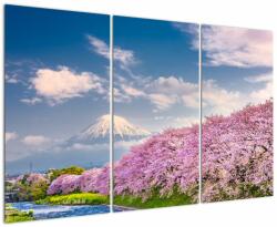 Mivali Tablou - Peisaj de primăvară japonez, din trei bucăți 120x80 cm (V022377V120803PCS)