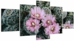 Mivali Tablou floare de cactus, din cinci bucăți 150x80 cm (V021594V150805PCS)