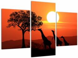 Mivali Tablou cu girafe în apus de soare, din trei bucăți 90x60 cm (V022006V90603PCS)