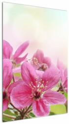 Mivali Tablou - Flori roz, dintr-o bucată 60x90 cm (V022529V6090)