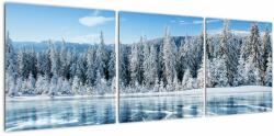 Mivali Tablou cu lacul înghețat și copacii înzăpeziți, din trei bucăți 120x40 cm (V021299V12040)