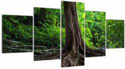 Mivali Tablou - Copac bătrîn cu rădăcini, din cinci bucăți 150x80 cm (V022463V150805PCS)
