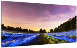 Mivali Tablou pe sticlă cu câmp colorat, dintr-o bucată 100x50 cm pe sticlă (V020476V10050GD)