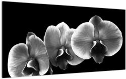 Mivali Tablou pe sticlă floare de orhidee, dintr-o bucată 100x50 cm pe sticlă (V022015V10050GD)