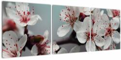 Mivali Tablou cu floare - roșie, din trei bucăți 120x40 cm (V020678V12040)