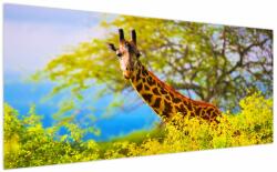 Mivali Tablou - Girafa în Africa, dintr-o bucată 200x100 cm (V023370V200100)