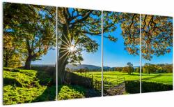Mivali Tablou Privire la câmp, din patru bucăți 160x80 cm (V022670V16080)